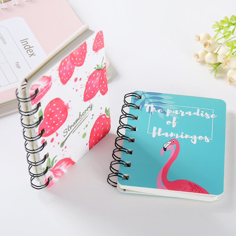 School notebook