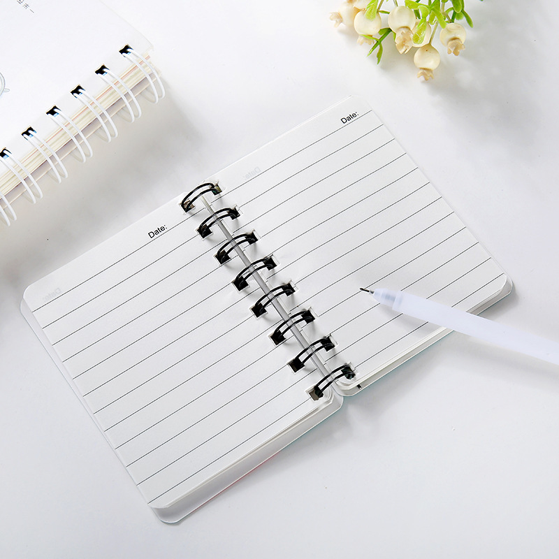 School notebook